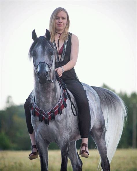 NA REKE SESTRE 51 (Sestroretsk) - Guesthouse Reviews & Photos - Tripadvisor