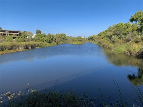San Diego River, Mission Valley – 5 Minutes with Joe