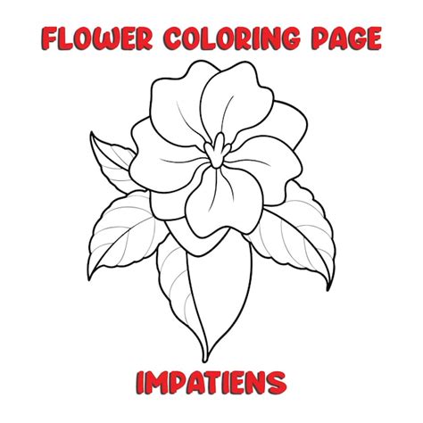 Impatiens flowers coloring book for kids | Premium AI-generated vector