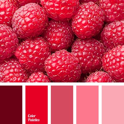 Image result for Warm Raspberry Color