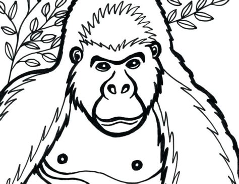 A Gorilla coloring page - Download, Print or Color Online for Free
