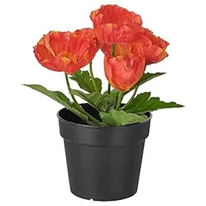 Buy Ikea FEJKA Artificial Potted Plant, in/Outdoor/Poppy red 9 cm (3 ½ ...