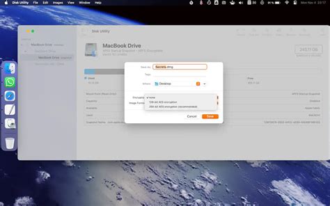 Image result for File Lock Apple