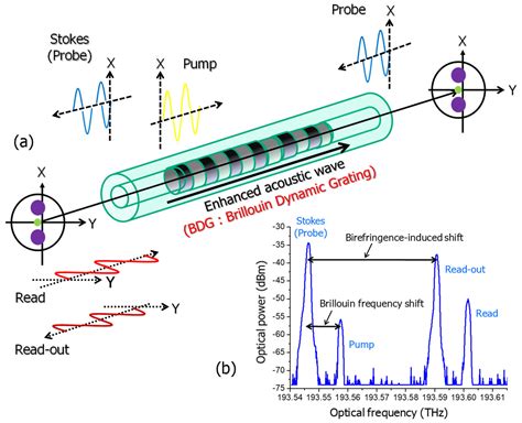 Brillouin Optical Correlation-Domain Technologies Based on Synthesis of ...