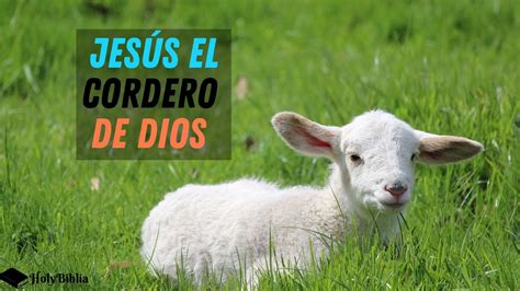 Cordero De Dios
