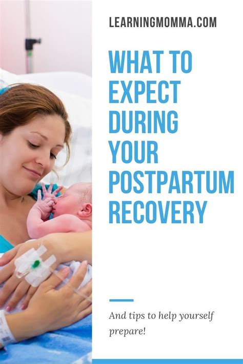 Pin on Postpartum Preparation