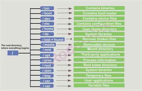 Image result for Linux File System Commands