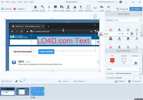 Snagit Demo 的图像结果