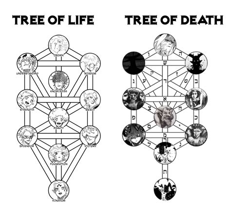Tree Of Life Kabbalah Symbol NEW Illustration: Kabbalistic Tree Of