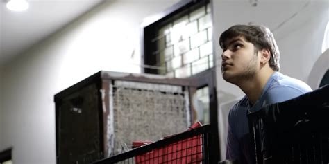 Watch | Shattered Dreams and Betrayal: The Inside Story of A NEET ...