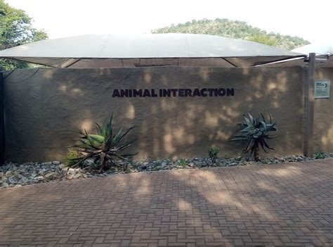 Maps Edu Tours - Johannesburg | Tripadvisor