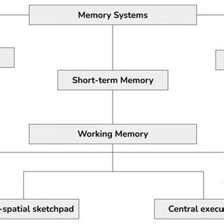 Memory Systems Tutorials 的图像结果