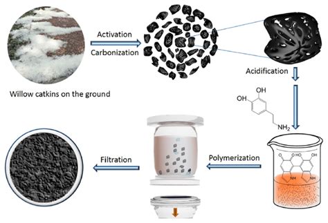Activated Carbon from Biomass Sustainable Sources
