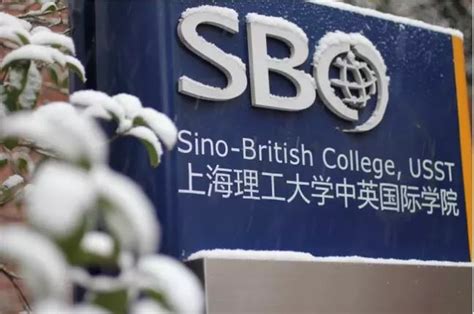 上海理工大学中英国际学院下雪啦，美到迷醉......