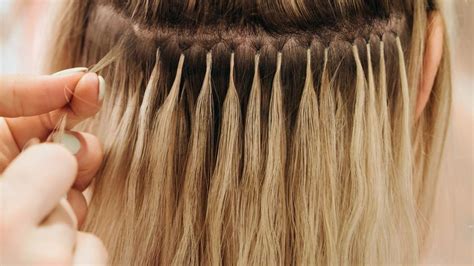 Image result for Micro Extensions