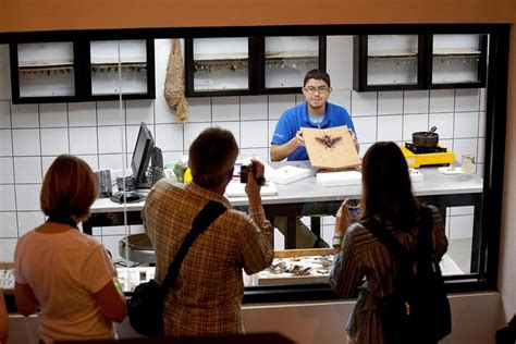 VERAGUA RAINFOREST (2026) All You Need to Know BEFORE You Go (with ...