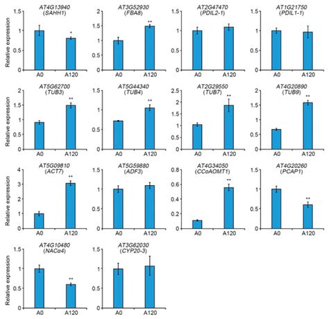 IJMS | Special Issue : Plant Responses and Tolerance to Salt Stress ...