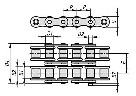 Roller chain duplex, stainless steel DIN ISO 606, curved link plate ...