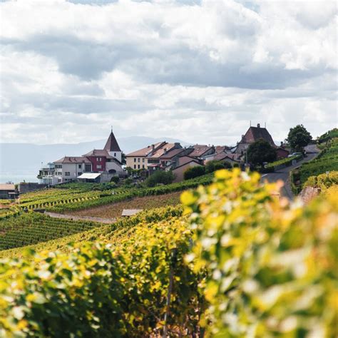 Renewing a Public Site with BIM - Topos Magazine