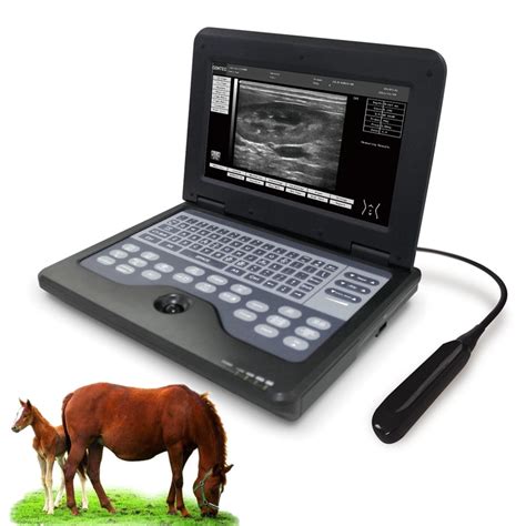 Buy Portable Latop Veterinary Ultrasound Scanner Vet Machine with ...