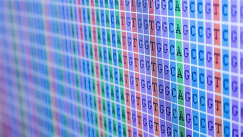 Image result for Bioinformatics Terminologies