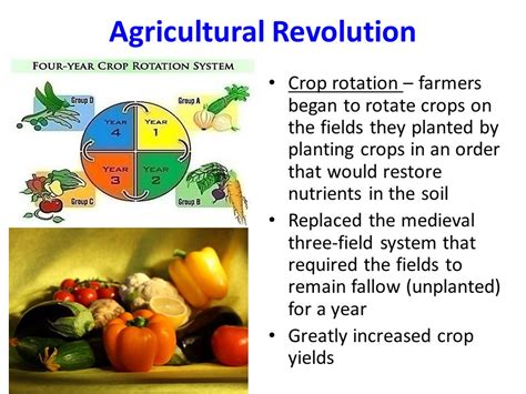 Image result for Agricultural Involution