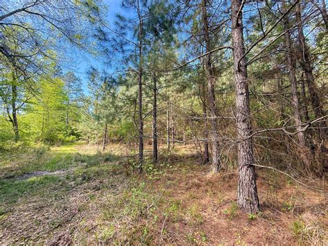 Southfork N 120 - Saline & Clark County Timberland Bid Sale | Clark ...