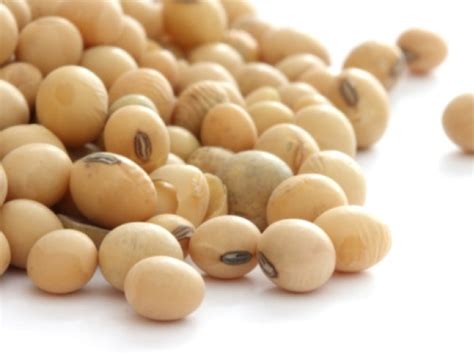 Cholesterol Control: 20 Foods that Keep Your Cholesterol Levels in Check