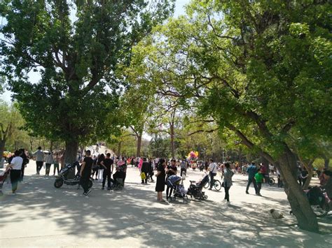 2022沈阳市铁西区劳动公园游玩攻略,这里是铁西区比较大的公园了...【去哪儿攻略】