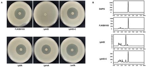 Pseudomonas protegens FJKB0103 Isolated from Rhizosphere Exhibits Anti ...