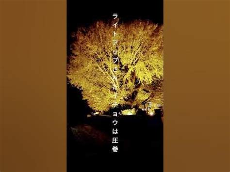 Image result for Ani Algorithm