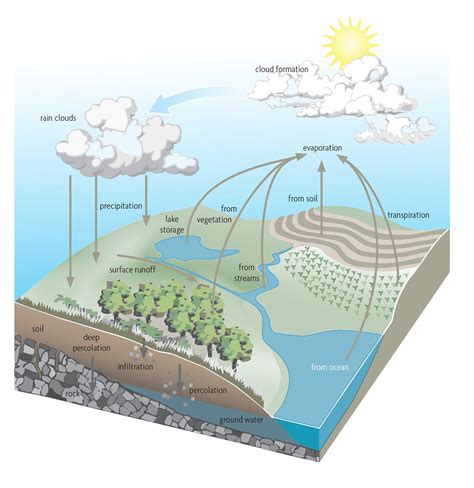 Water Cycle Infiltration