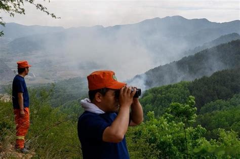 森林火灾科学扑救的四个步骤：明火情、断火路、打火头、清余火 - 知乎
