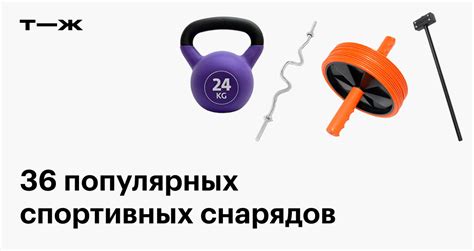 Спортивные снаряды: список инвентаря для дома и тренажерного зала