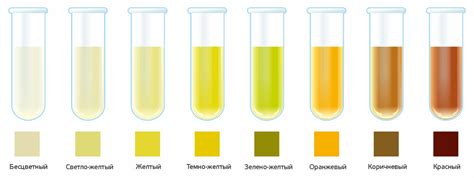 Цвет мочи. Норма - BIOHIMIK.NET