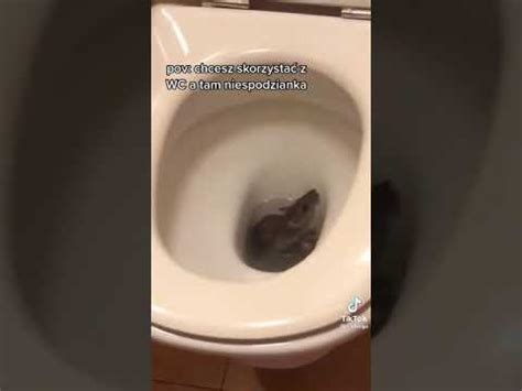 Image result for Modeling Paste Craft Ideas