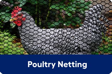 Chicken Wire Fence for Reliable Poultry Protection | Lowe's