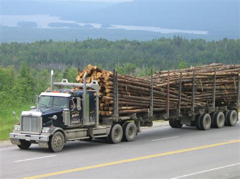 Image result for How Do Logging Trailers Work
