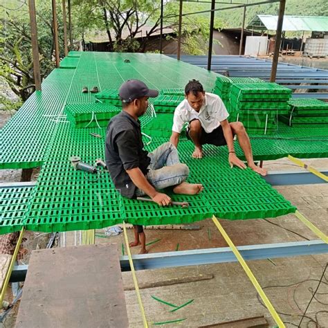 Dairy Goat Farming 的图像结果