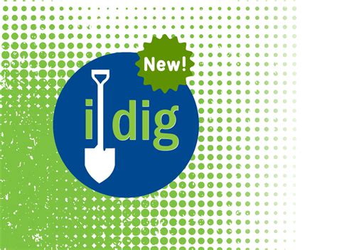 Using Idig 的图像结果