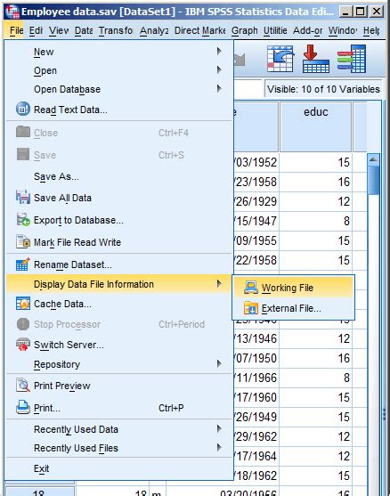 Syntax Code SPSS 的图像结果