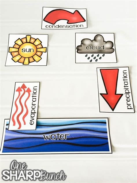 Image result for Water Cycle Science Experiment