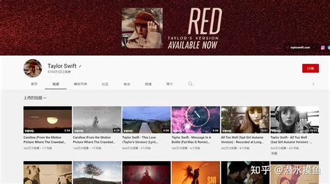 Pythonviodeo 的图像结果