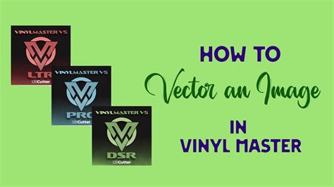 VinylMaster Tutorial 的图像结果
