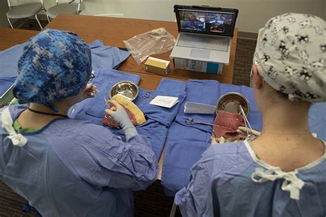 Image result for Veterinary Simulation Surgery