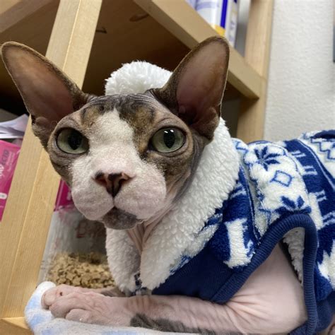 Pine Point Animal Hospital (@pinepointvet) • Instagram photos and videos