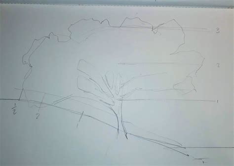 Sketching Tree Limbs 的图像结果