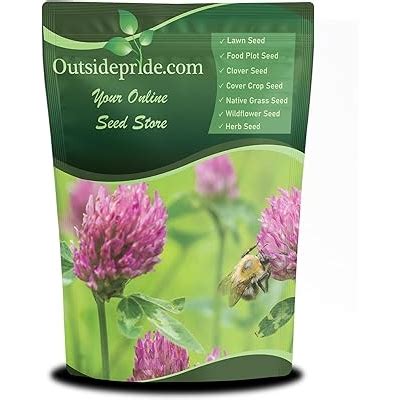 Outsidepride Perennial Red Clover Seeds - 2 lbs. India | Ubuy