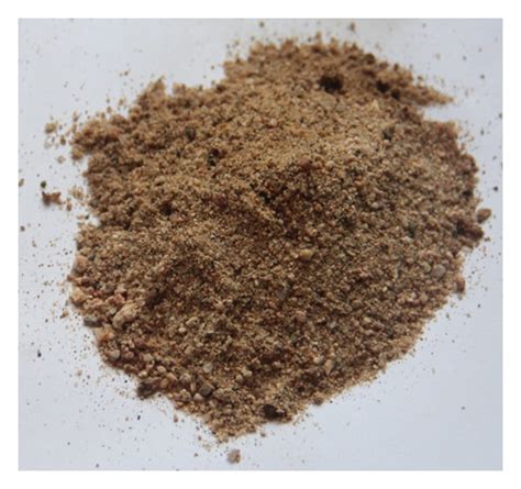 Sand Aggregate 的图像结果