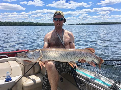50" musky during Family vacation at Eagle Lake Ontario. : r/Fishing